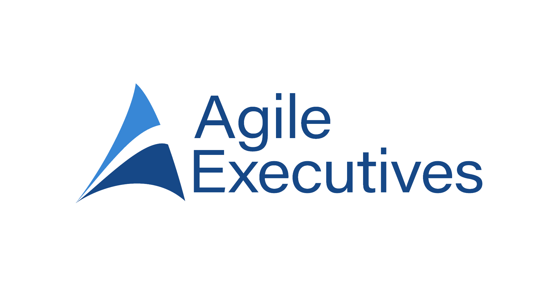 Agile Executives